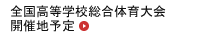 SwZʑ